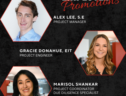 Employee Promotions